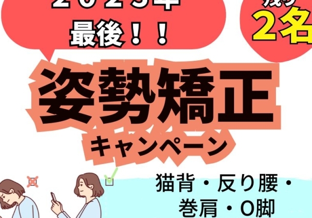 shigaseitai-sisei10