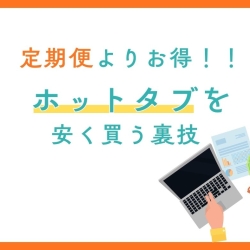【年間コスト比較ブログ】ホットタブ最安値は定期便じゃない！90錠5,544円で買う裏ワザ