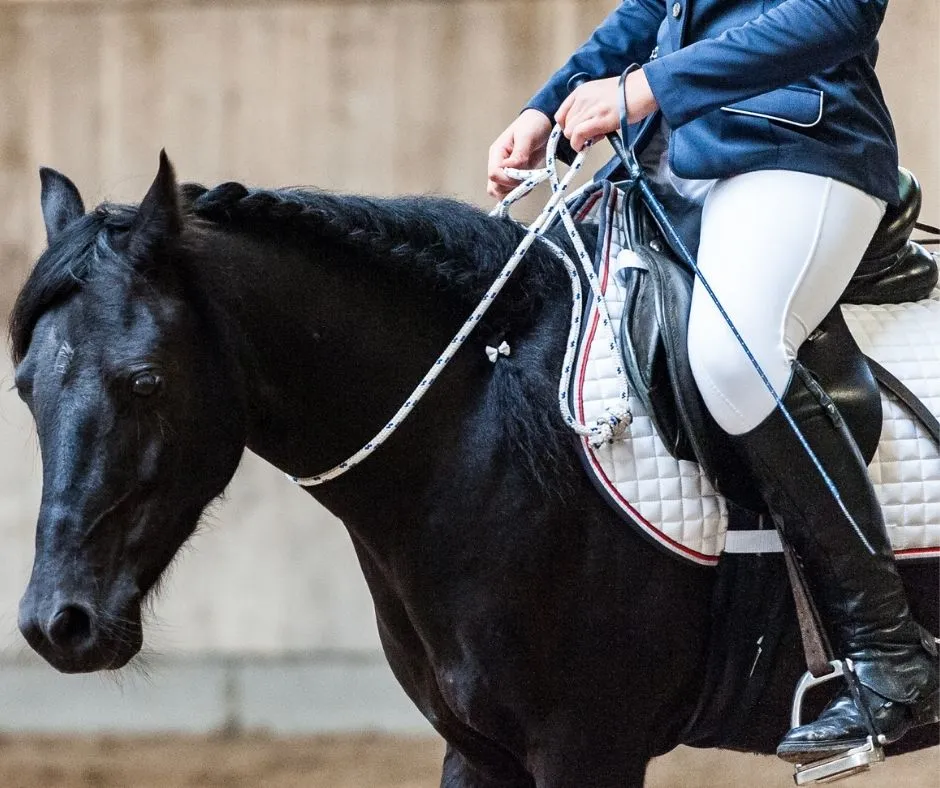 下半身のサスペンション機能のイメージ