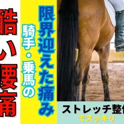 限界を迎えた乗馬の腰痛に！滋賀で整体をお探しの騎手へ贈るプロのケア