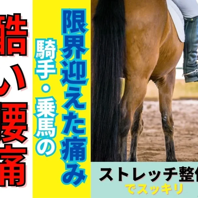限界を迎えた乗馬の腰痛に！滋賀で整体をお探しの騎手へ贈るプロのケア