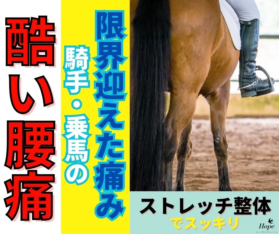 限界を迎えた乗馬の腰痛に！滋賀で整体をお探しの騎手へ贈るプロのケア