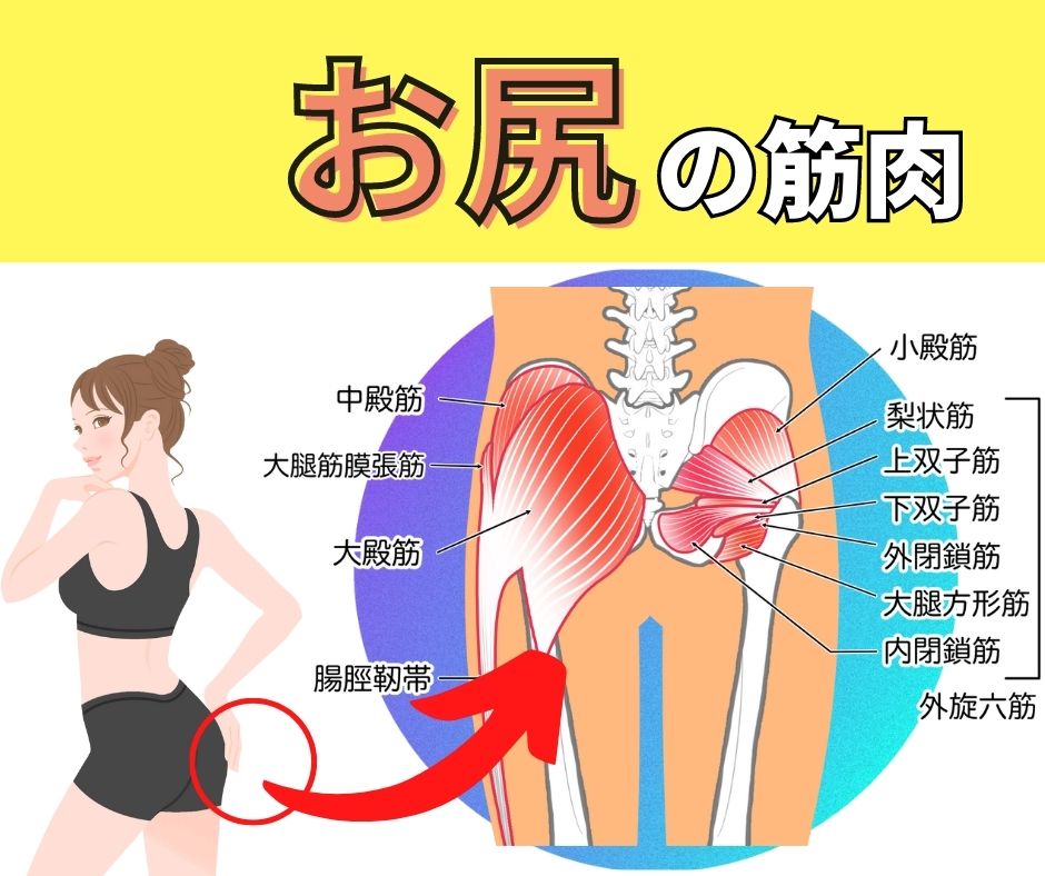 お尻の筋肉トレーニングイメージ