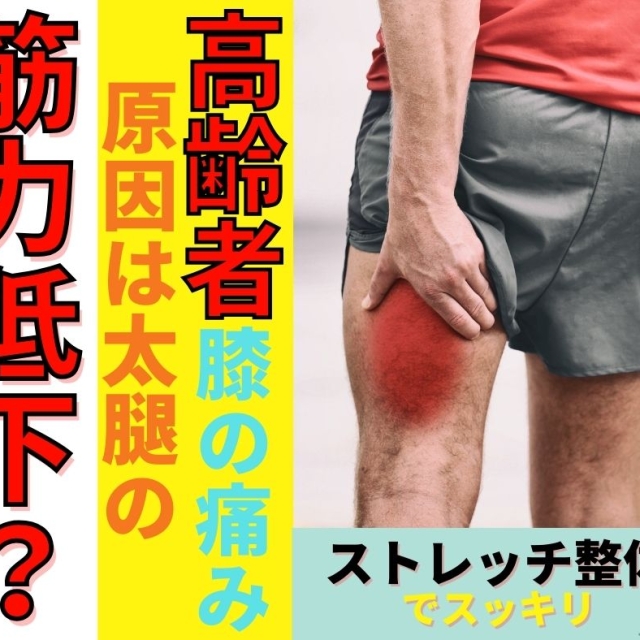 滋賀の整体｜守山市で高齢者の「膝の痛み」をケア。原因は太ももの筋力低下？