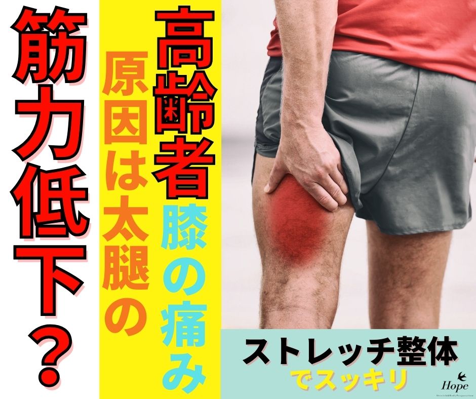 滋賀の整体｜守山市で高齢者の「膝の痛み」をケア。原因は太ももの筋力低下？