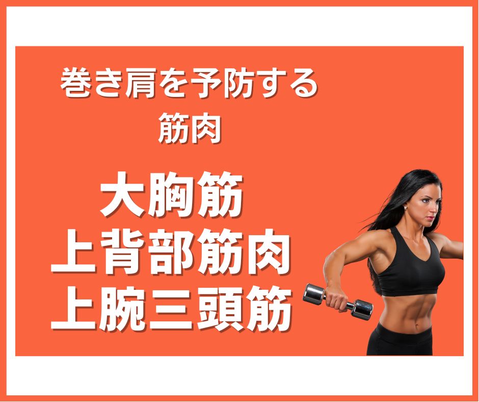巻き肩予防に必要な筋肉